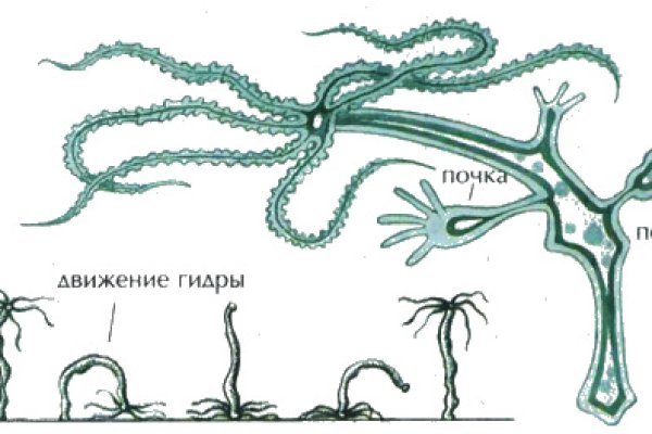 Кракен вход на сайт