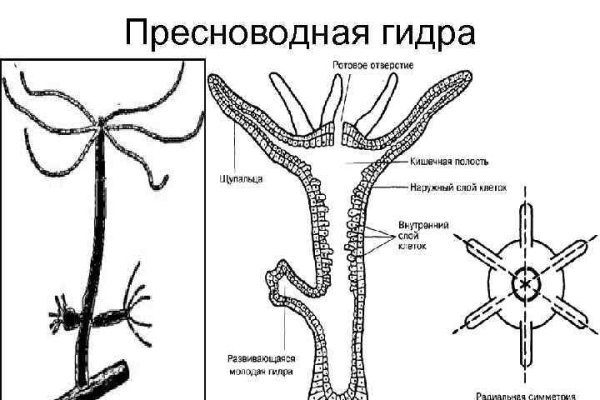 Спрут мега кракен